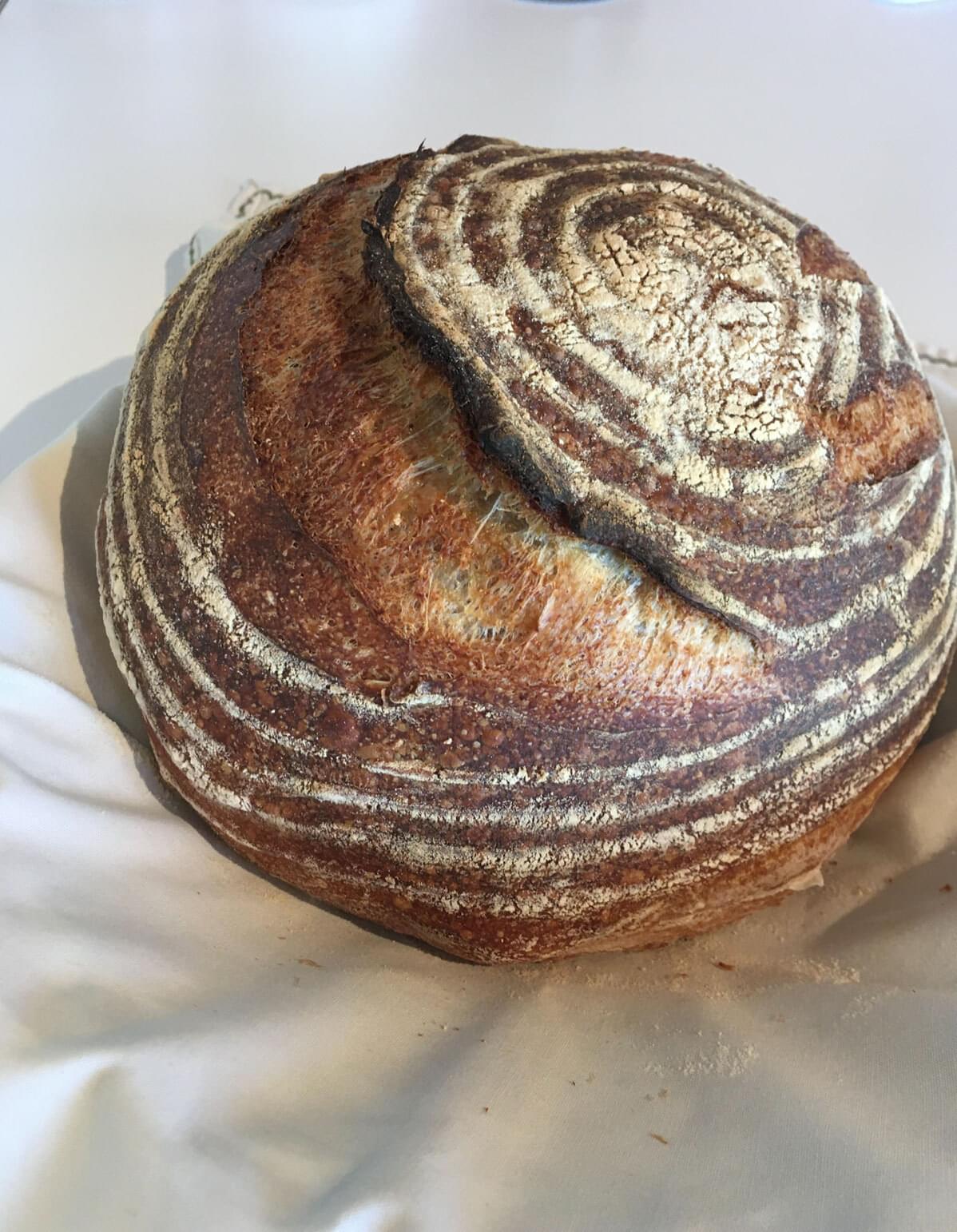 Baking Sourdough Bread in a Toaster Oven – Here's the Secret