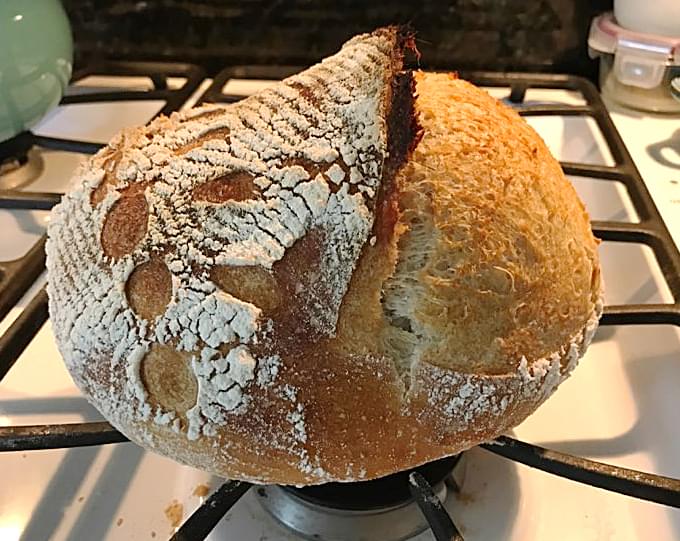 Baking Sourdough Bread in a Toaster Oven – Here's the Secret